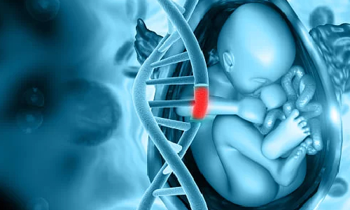 Gynaecologist in Prabhadevi, Chembur