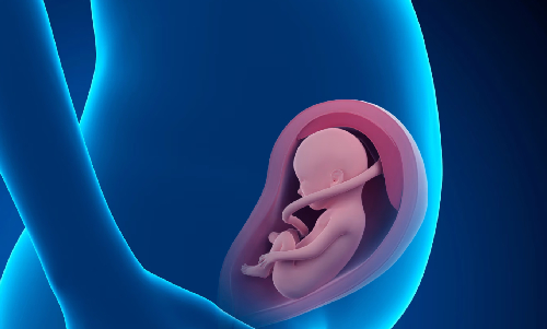 Gynaecologist in Prabhadevi, Chembur