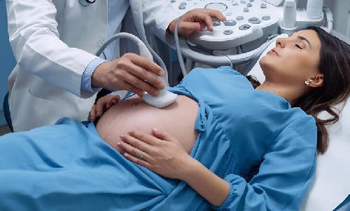 Gynaecologist & Obstetrician