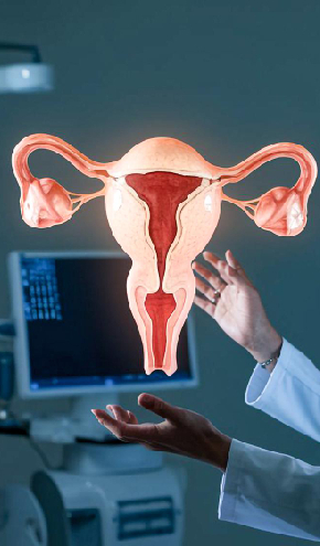 Gynaecological Surgeries in Prabhadevi Chembur Mumbai