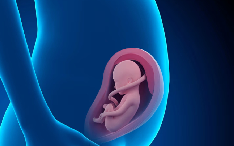 Fetal Growth Restriction FGR Mumbai